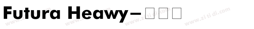 Futura Heawy字体转换